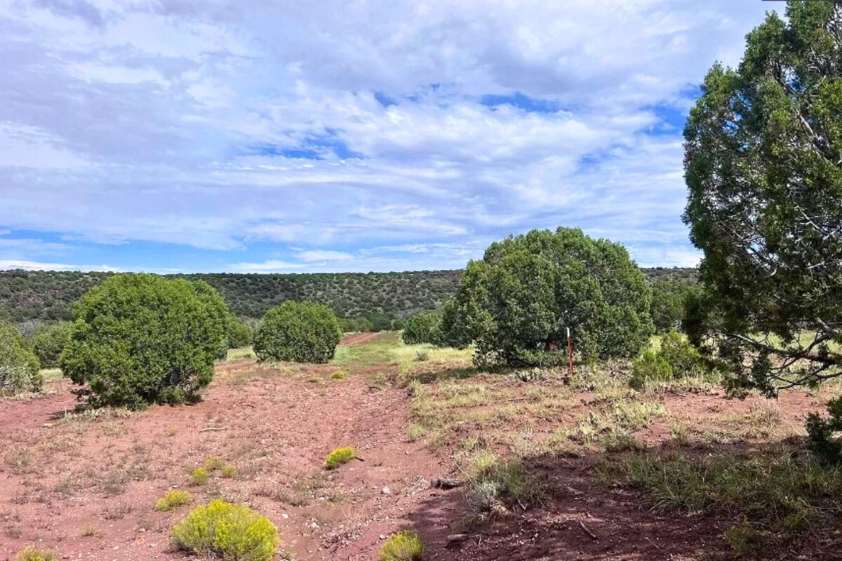 4248 E Pinto Rd, Snowflake, AZ 85937