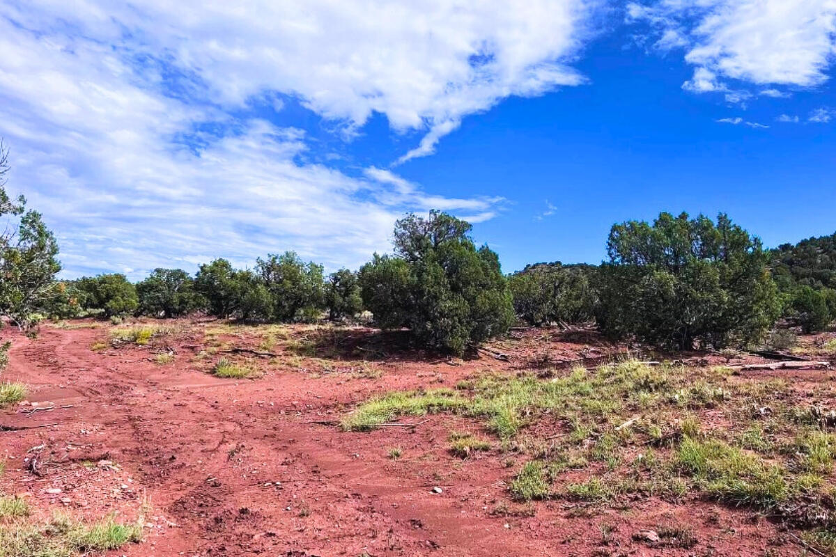 4248 E Pinto Rd, Snowflake, AZ 85937