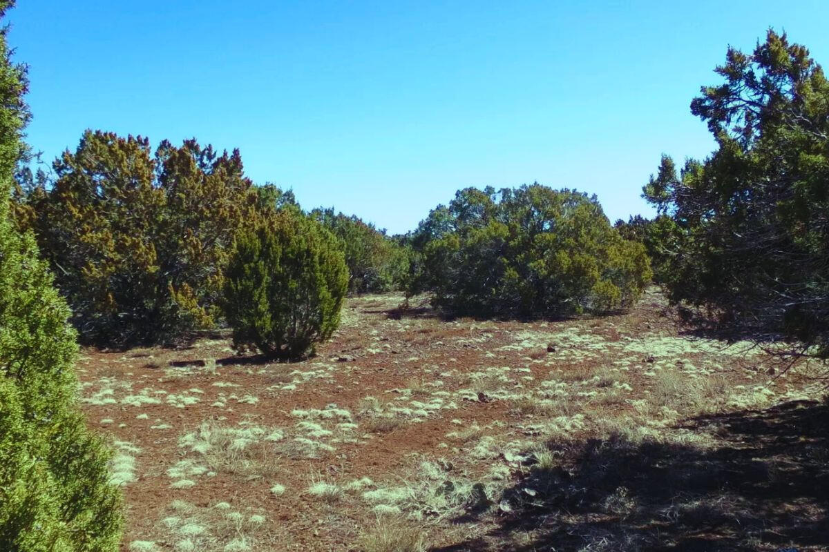 4248 E Pinto Rd, Snowflake, AZ 85937