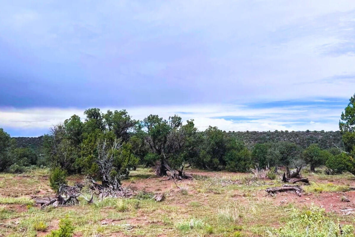 4248 E Pinto Rd, Snowflake, AZ 85937