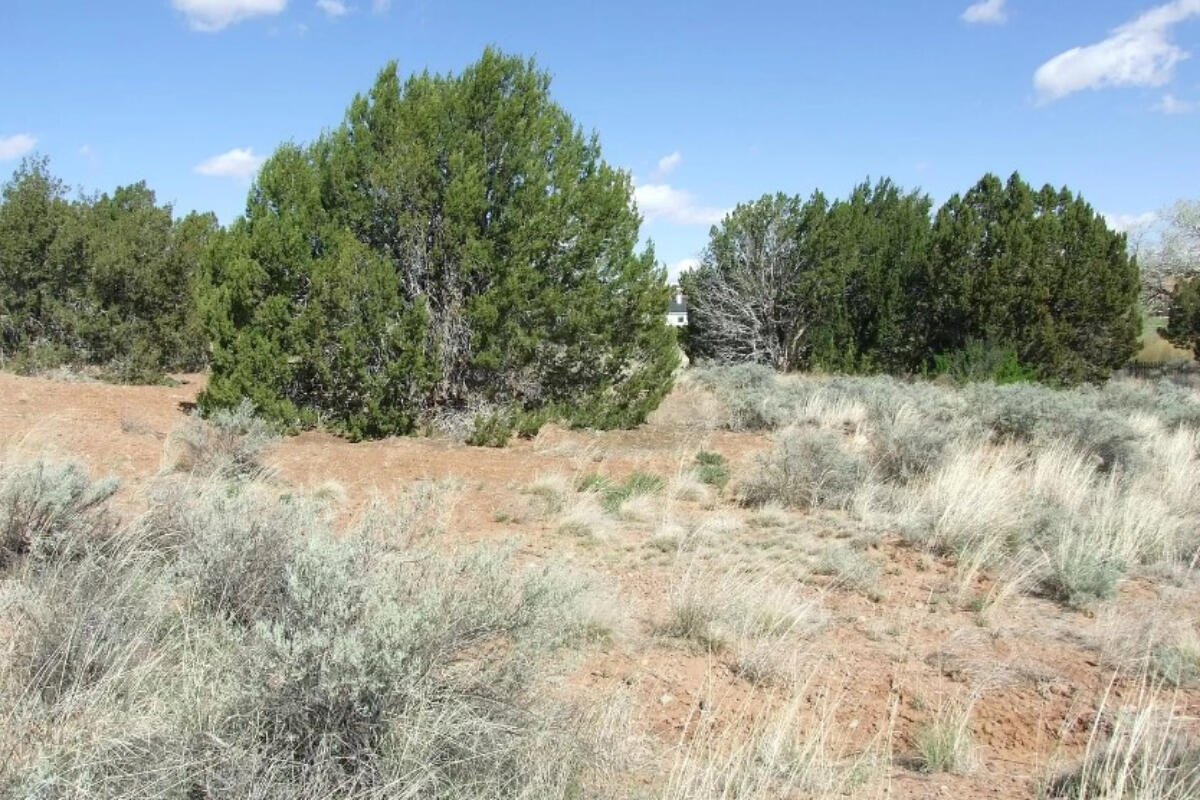 4248 E Pinto Rd, Snowflake, AZ 85937