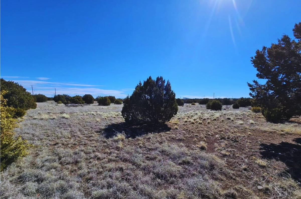 4248 E Pinto Rd, Snowflake, AZ 85937